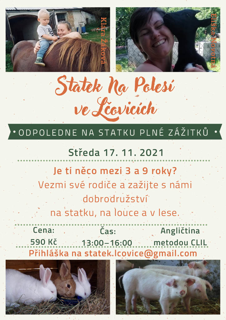 statek 17 11 202110241024 1