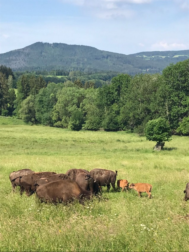 aa548efe-4e33-4368-9088-01634e36bbbe