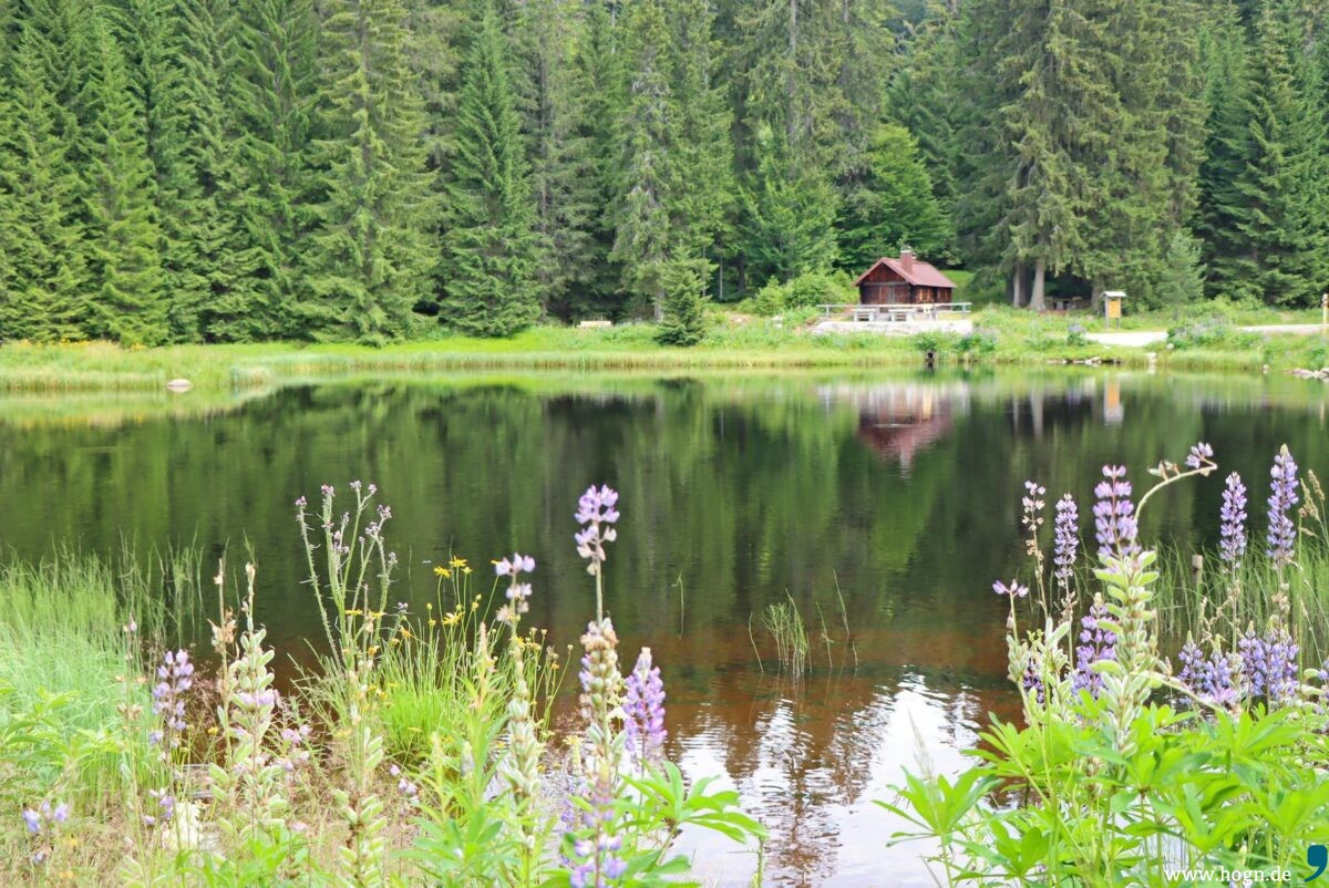 k1600 20220704-hammerklause-erweiterung2022-klause-finsterau-gregor wolf-6-1200x802