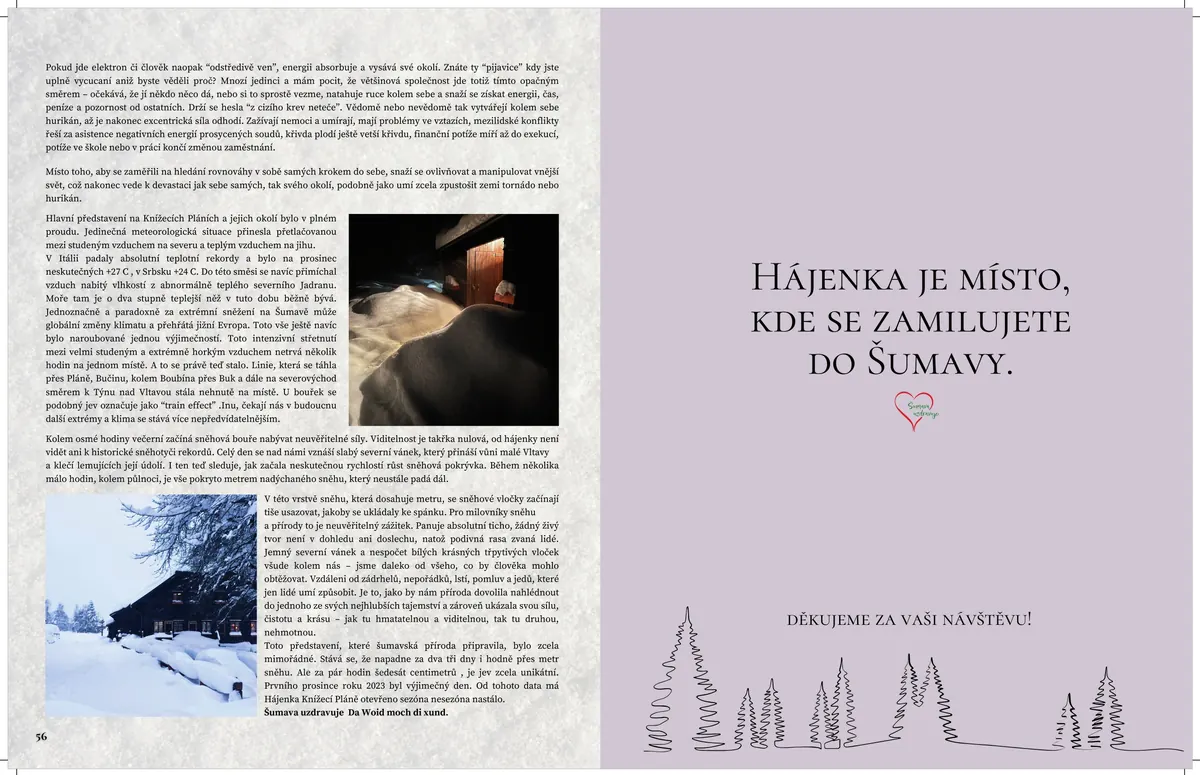 Strana 29