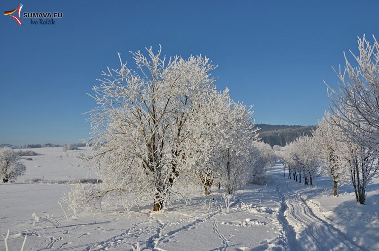 Volary – Foto dne 2017_01