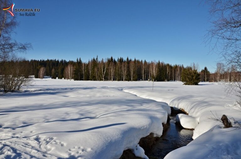 Volary – Foto dne 2019_02