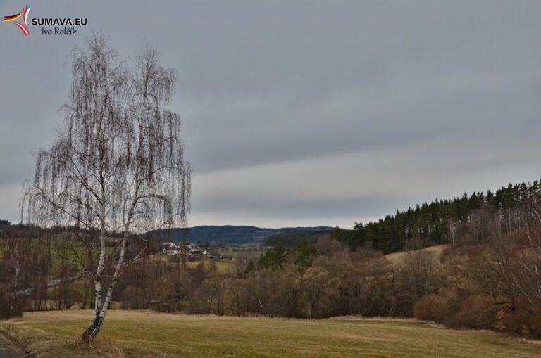Volary – Foto dne 2018_03