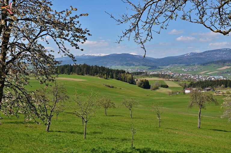 Volary – Foto dne 2017_04