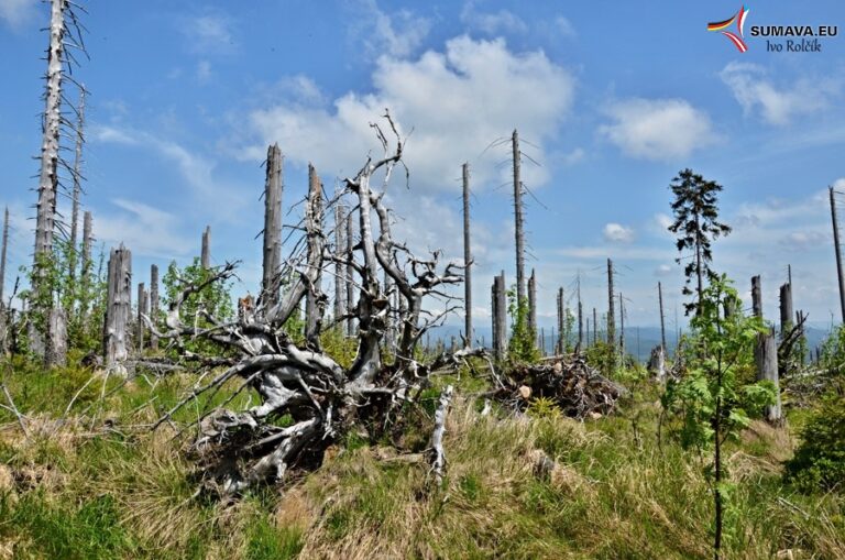 Volary – Foto dne 2016_05