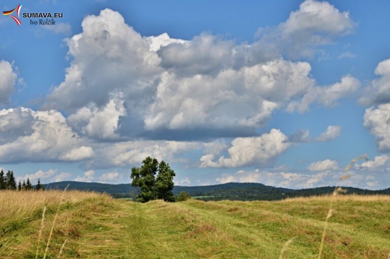Volary – Foto dne 2016_07