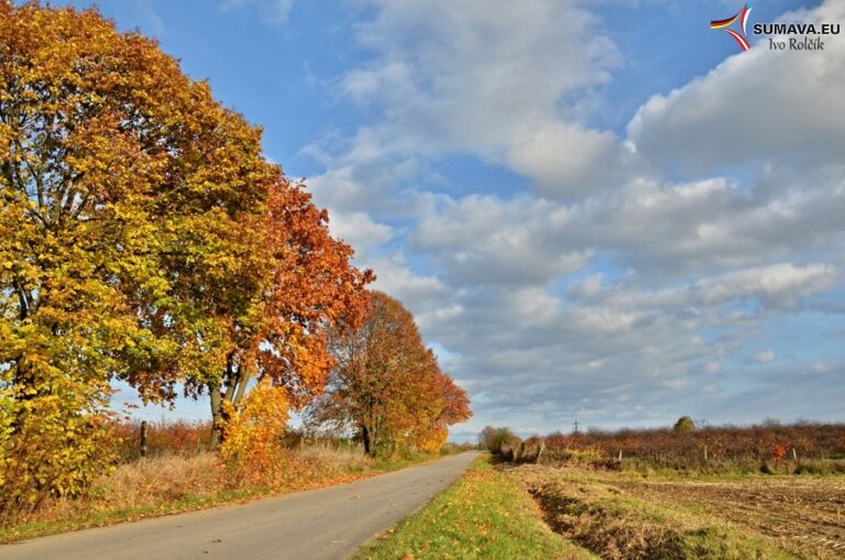 Volary – Foto dne 2016_10
