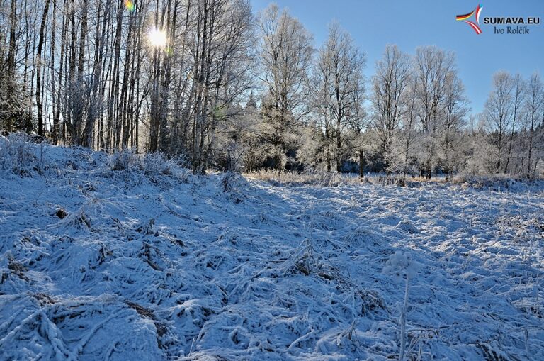 Volary – Foto dne 2016_12
