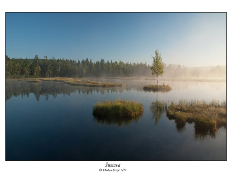 webcam.sumava.eu