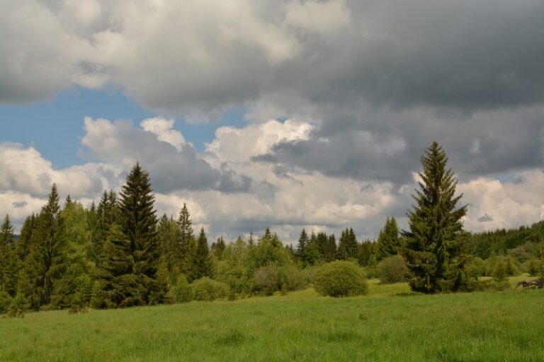 Vimperk – Fotokronika Jana Tláskala – květen 2014