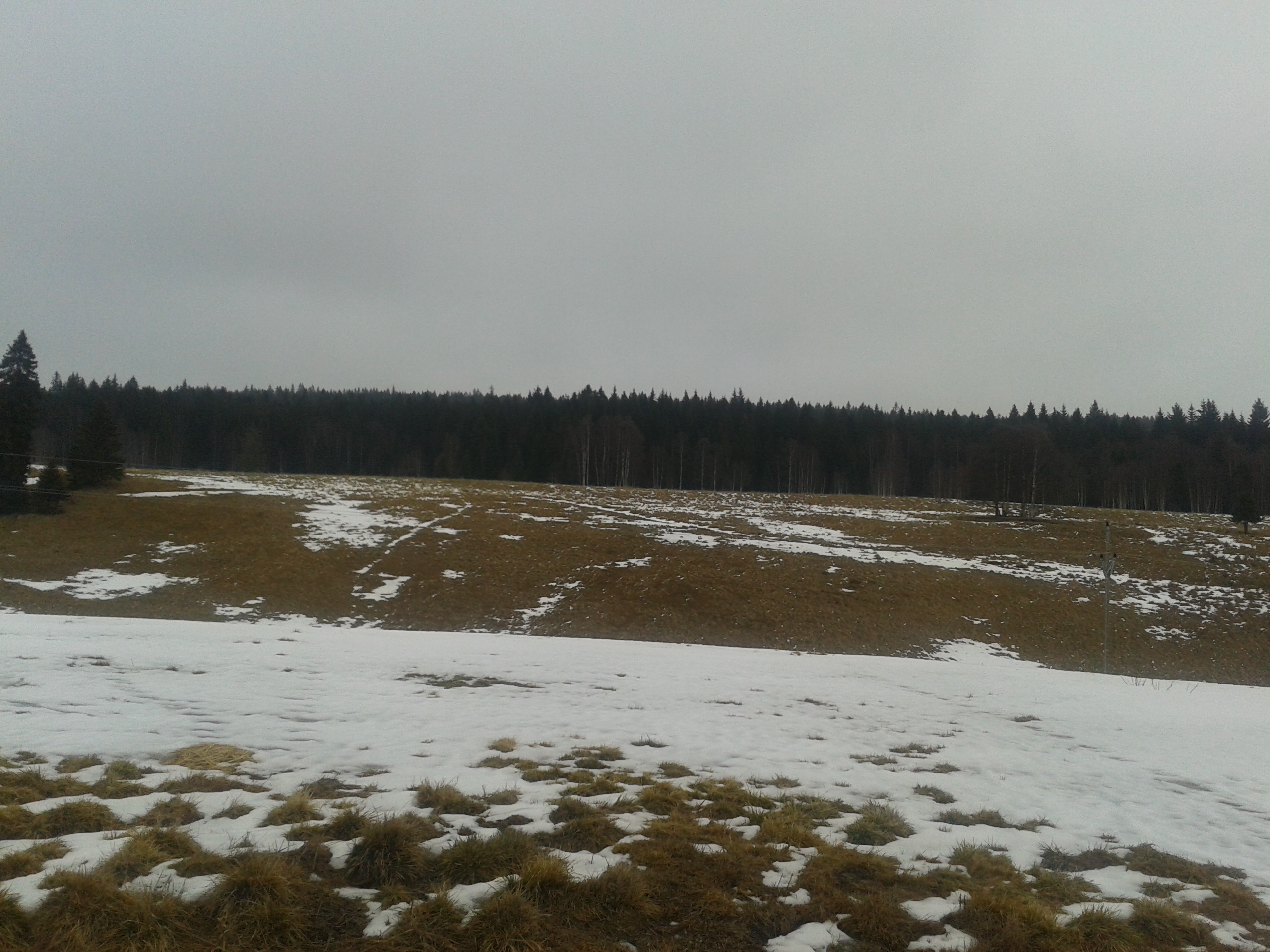 20140202 130454