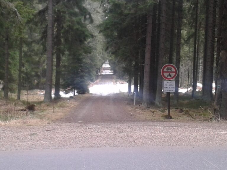 2.2. 2014 Šumava