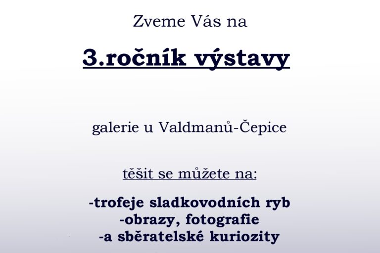 Galerie u Valdmanů v Čepicích