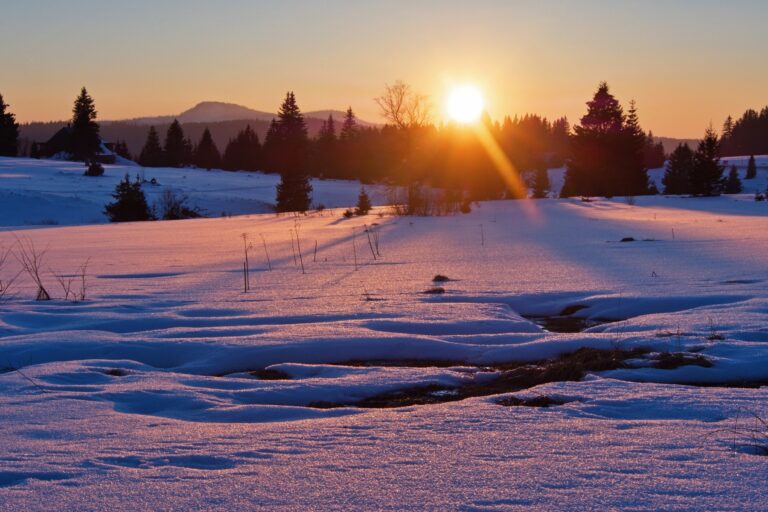 Šumava, Turecko a Aljaška v jeden den