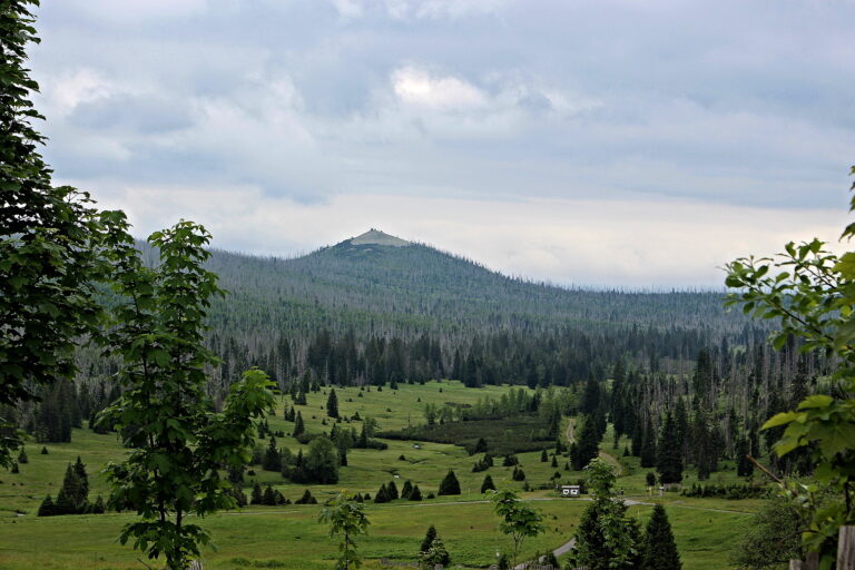 Šumava uzdravuje… tělo i duši