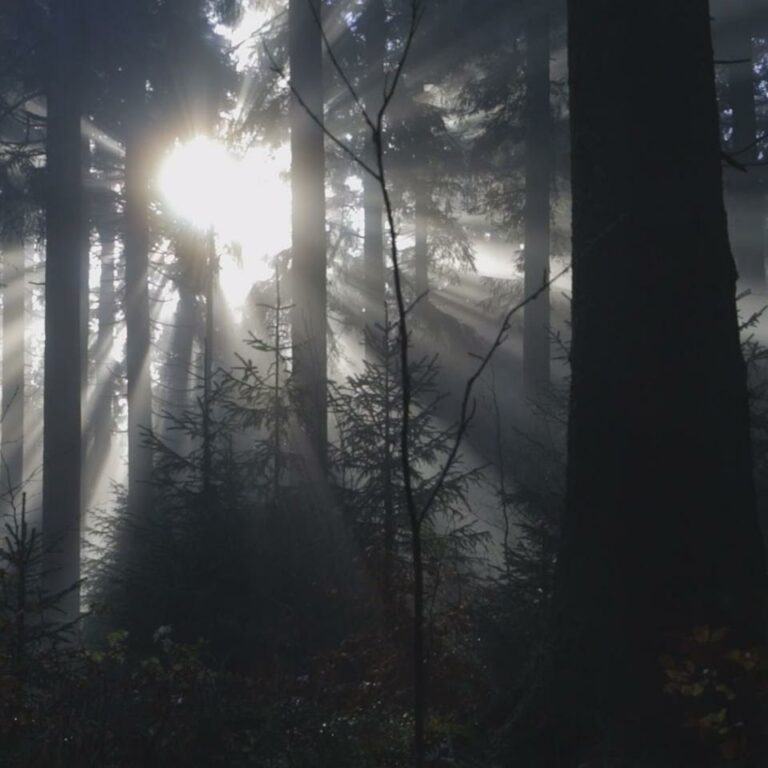 Neureichenau : Imagefilm