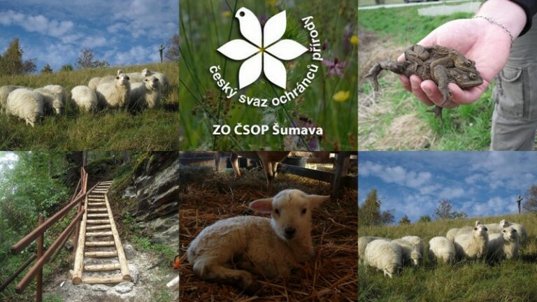 ZO ČSOP Šumava – cíle máme neskromné