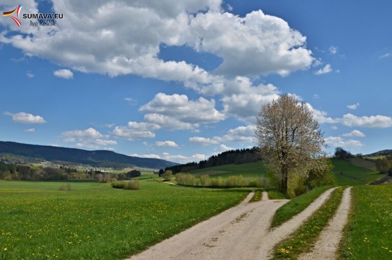 Volary – Foto dne 2016_04