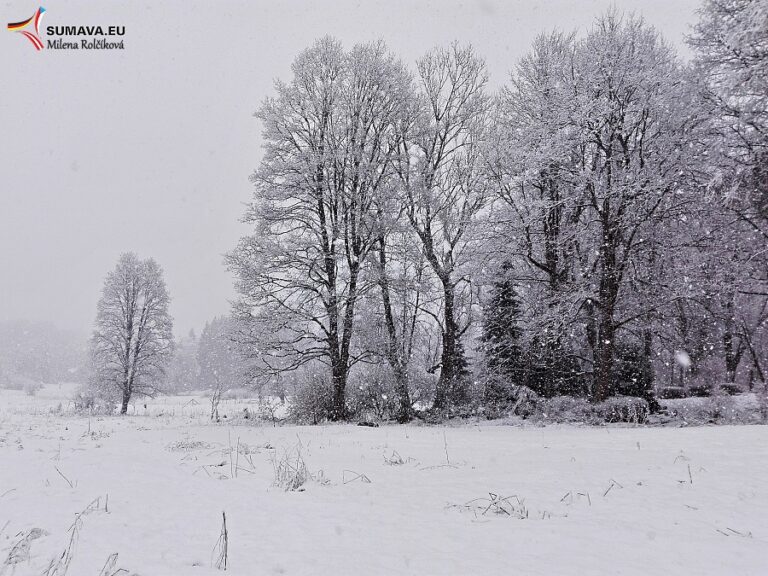 Volary – Foto dne 2017_02