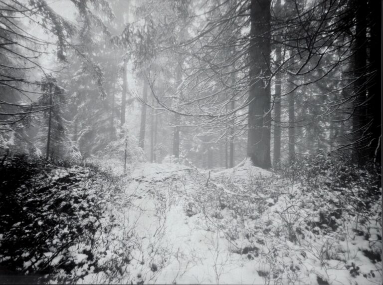 Miniatury: Jepice