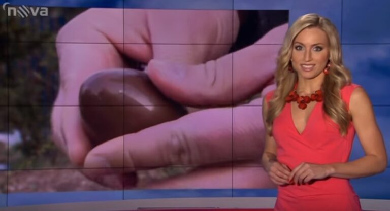 Reportáž: Nekvalitní jídlo