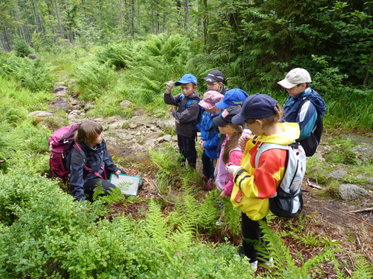 Národní park Šumava ve školách