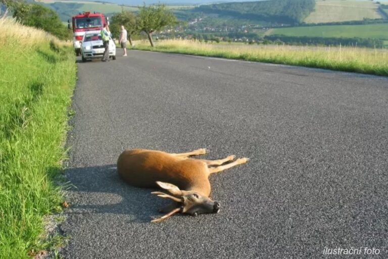 Výstava keramických výrobků