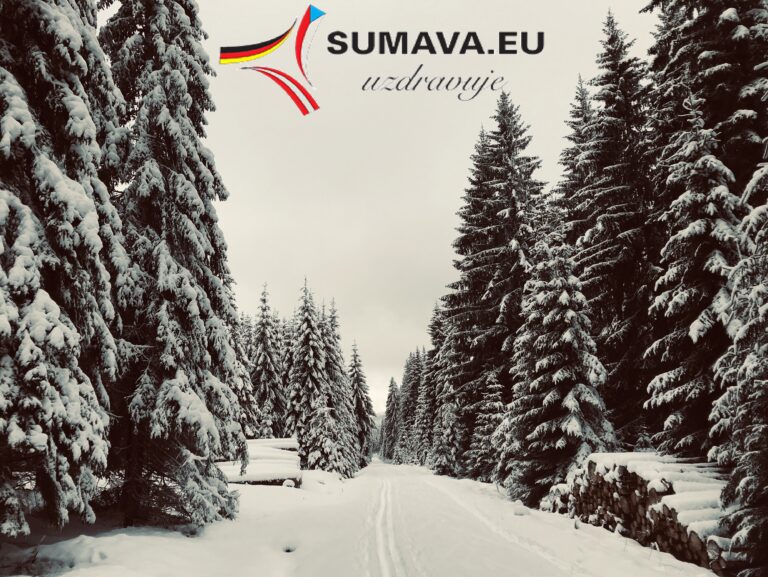 Šumava uzdravuje