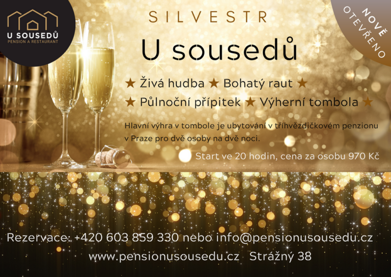 Silvestr U sousedů