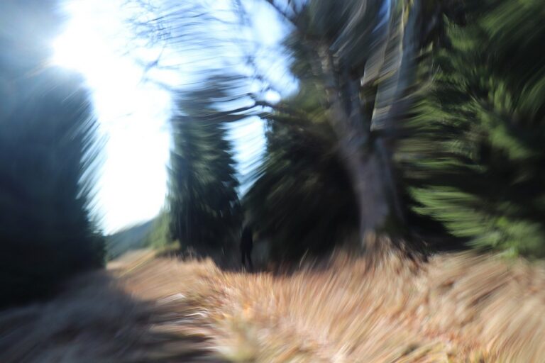 Miniatury: Zdivočelé fotografie