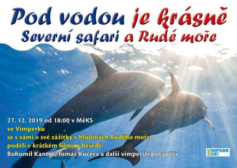 Potápění v Rudém moři