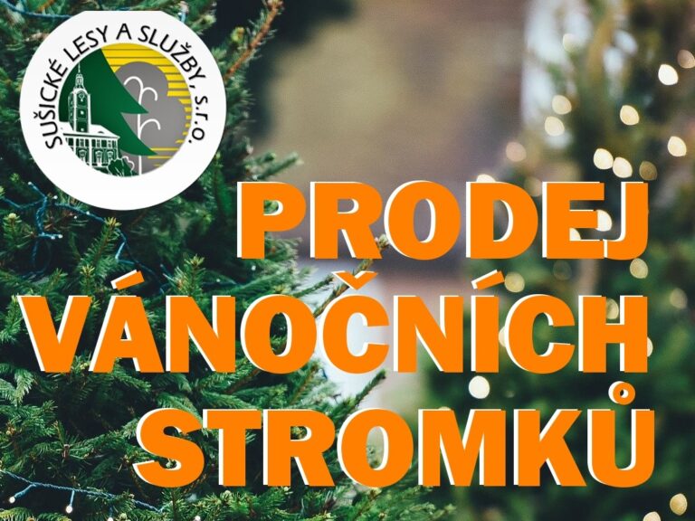 Vánoční stromek pořídíte  i den před Štědrým večerem