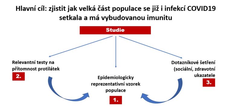 Testování kolektivní imunity – co vás čeká a co je cílem?