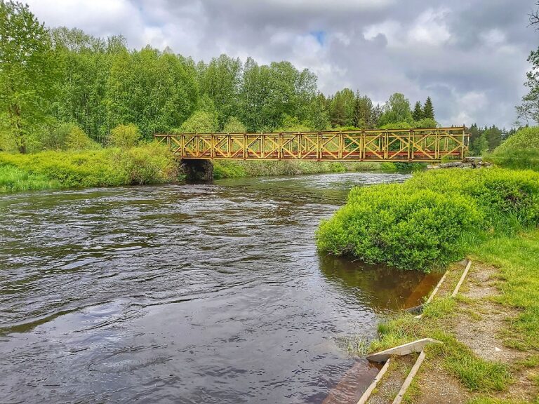 VIDEO: Vltava se po deštích udržela v korytě