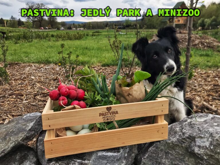 Ve čtvrtek vaří Tereza Černochová