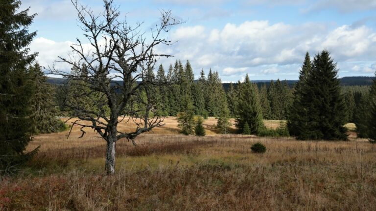 Knížecí Pláně – Červený potok – Stodůlky – Žďárek