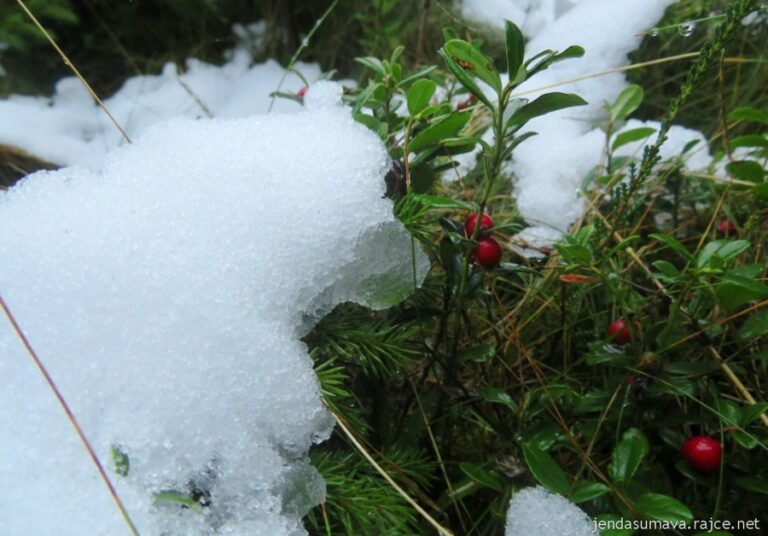 Říjnové minimum na Perle s hodnotou -10°C