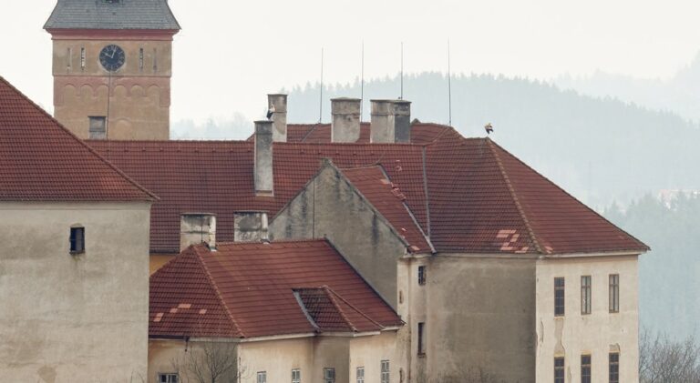 Čápi na vimperském zámku