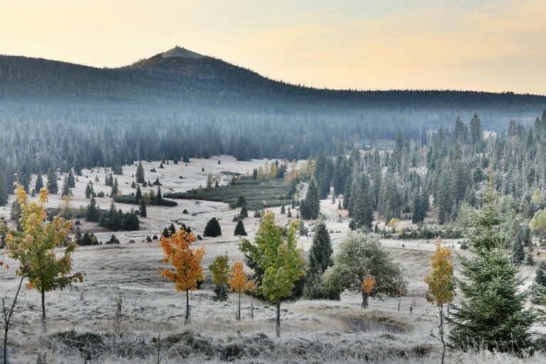 SG žen – Veselí nad Lužnicí