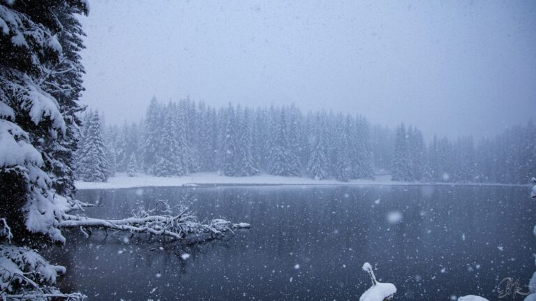 Nedělní Šumava