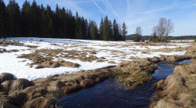 Před Šumavským Skimaratonem