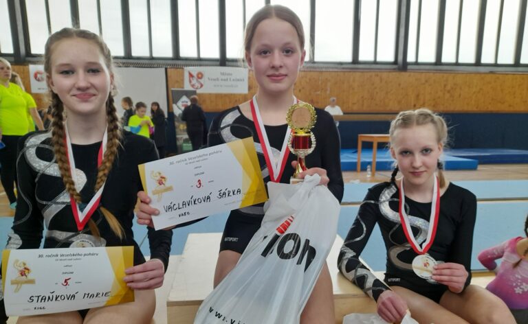 Veselský pohár ve sportovní gymnastice žen