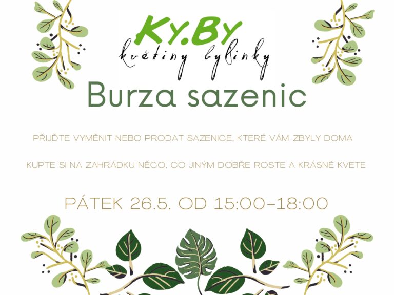 Burza sazenic KYBY Chlumany