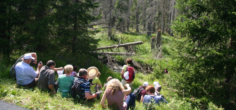 Divoká příroda NP Šumava láká – krize, nekrize