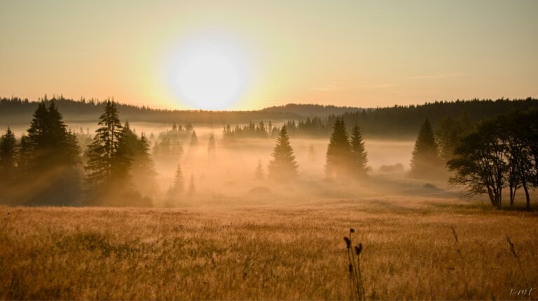 Národní park Šumava