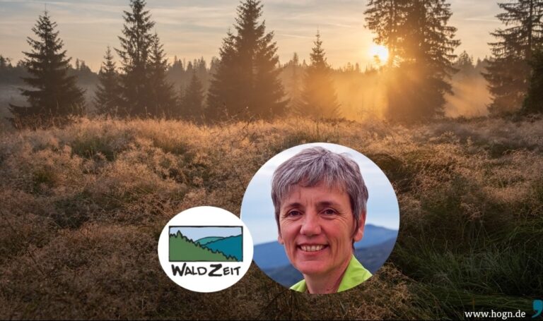 Rozhovor : Organizace WaldZeit