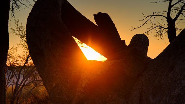 Expedice Botswana & Victoria falls 2024