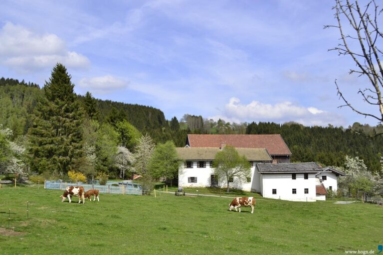 Více návštěvníků než před koronavirem