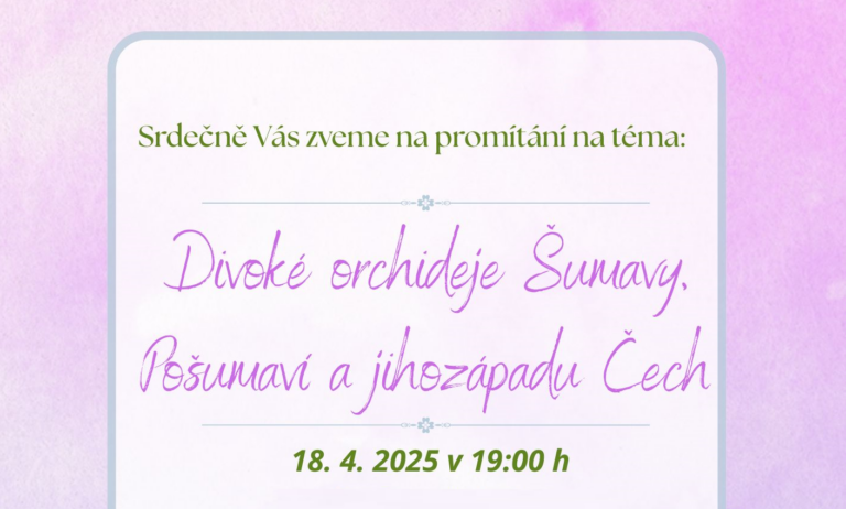 Pozvánka na promítání
