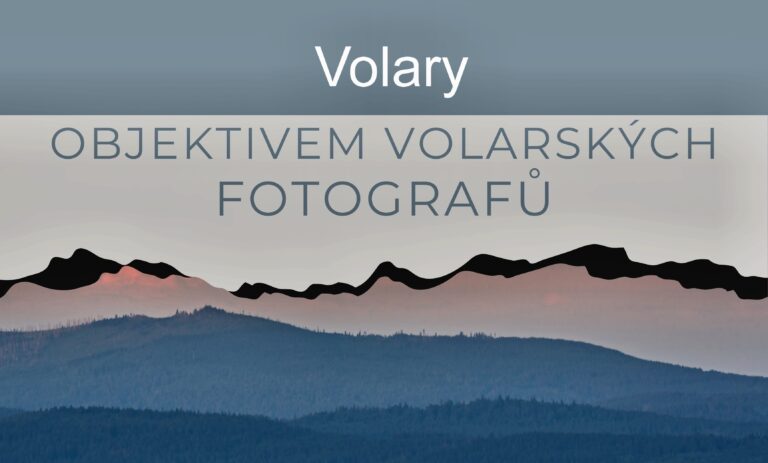 Pozvánka na výstavu